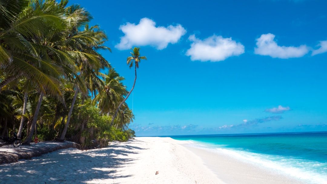 Best Tours in Cancun