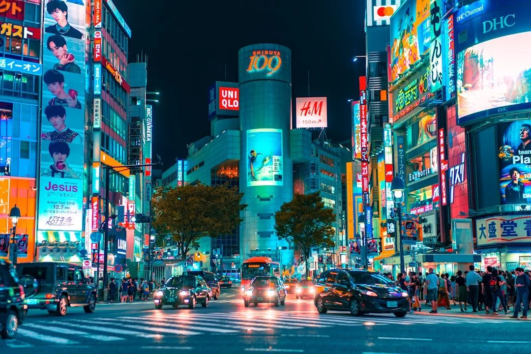 Do You Need an Organised Tour in Japan?